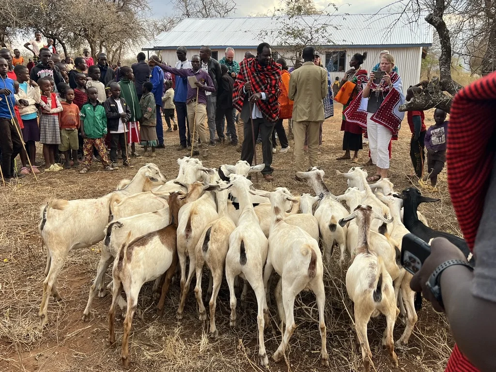 A herd of white goats gathered in the foreground as community members, children, and visitors stand near a tin-roofed building during a goat distribution event for orphans in the Lositeti community, Kenya
