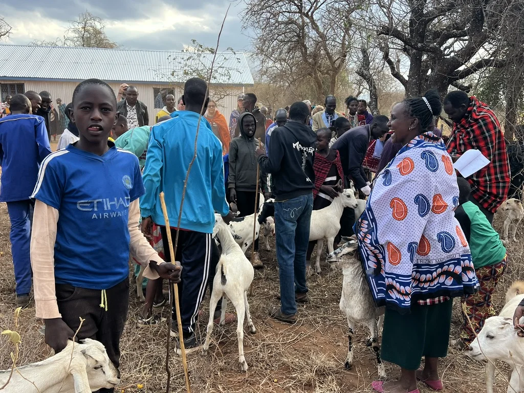 Community members and children joyfully interact with white goats during a distribution event, with a woman in a colorful printed wrap and a boy in a blue jersey visible among the crowd
