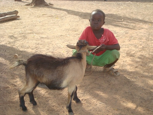 Ghana3