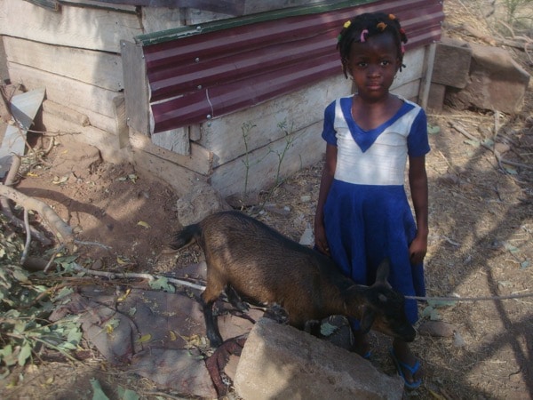 Ghana5