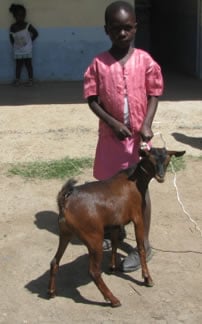 kenya6