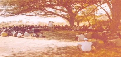 Word of God Taight under tree
